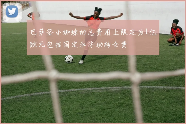 巴萨签小蜘蛛的总费用上限定为1亿欧元包括固定和浮动转会费